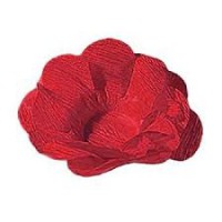 /album/destaque/florcrepon-jpg1/